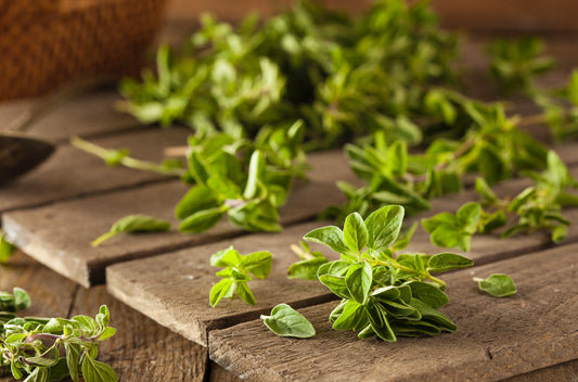 Oregano for Gut Health